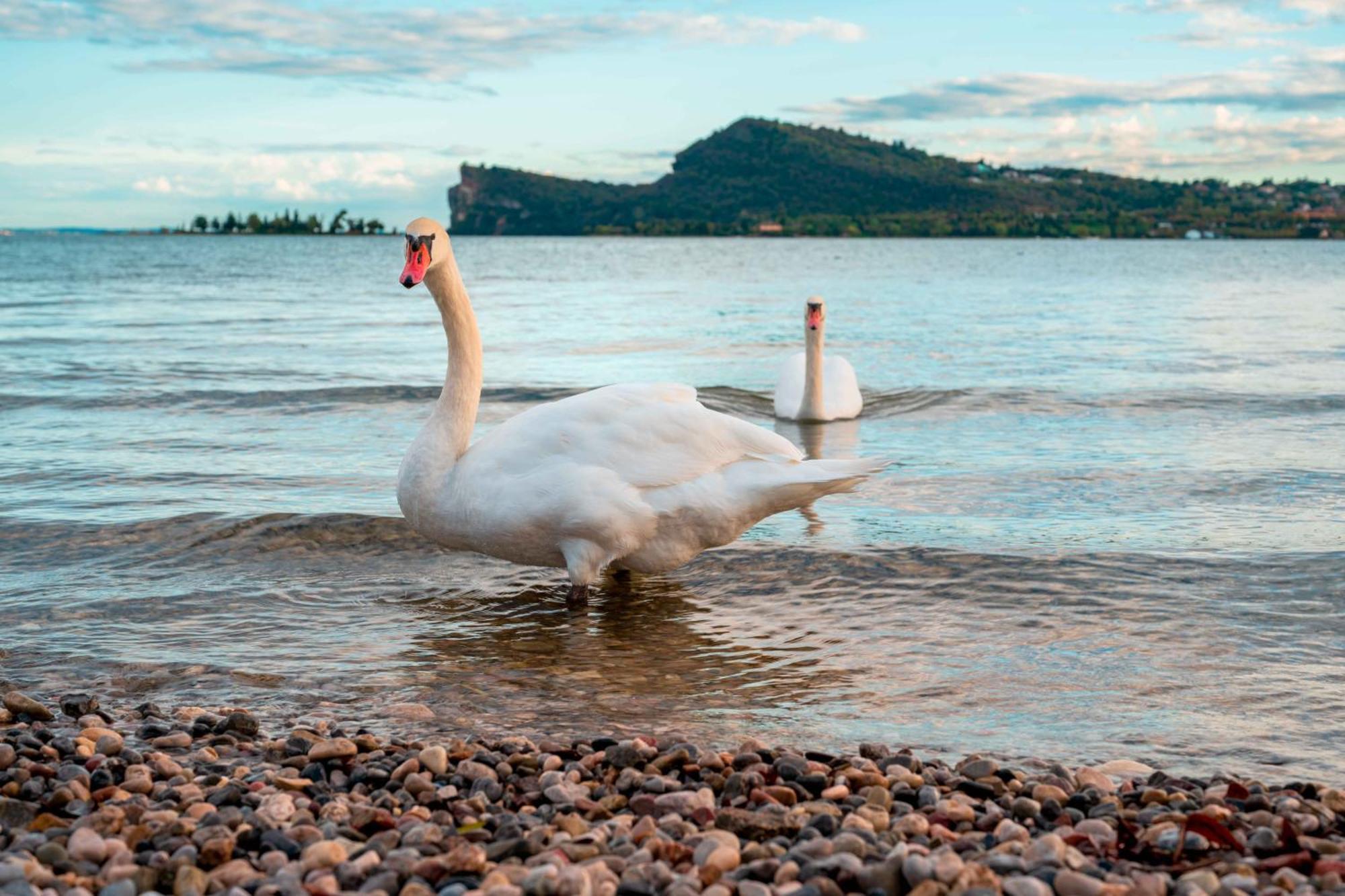San Carlo Appartamenti Vacanze Soiano Del Lago Exterior foto