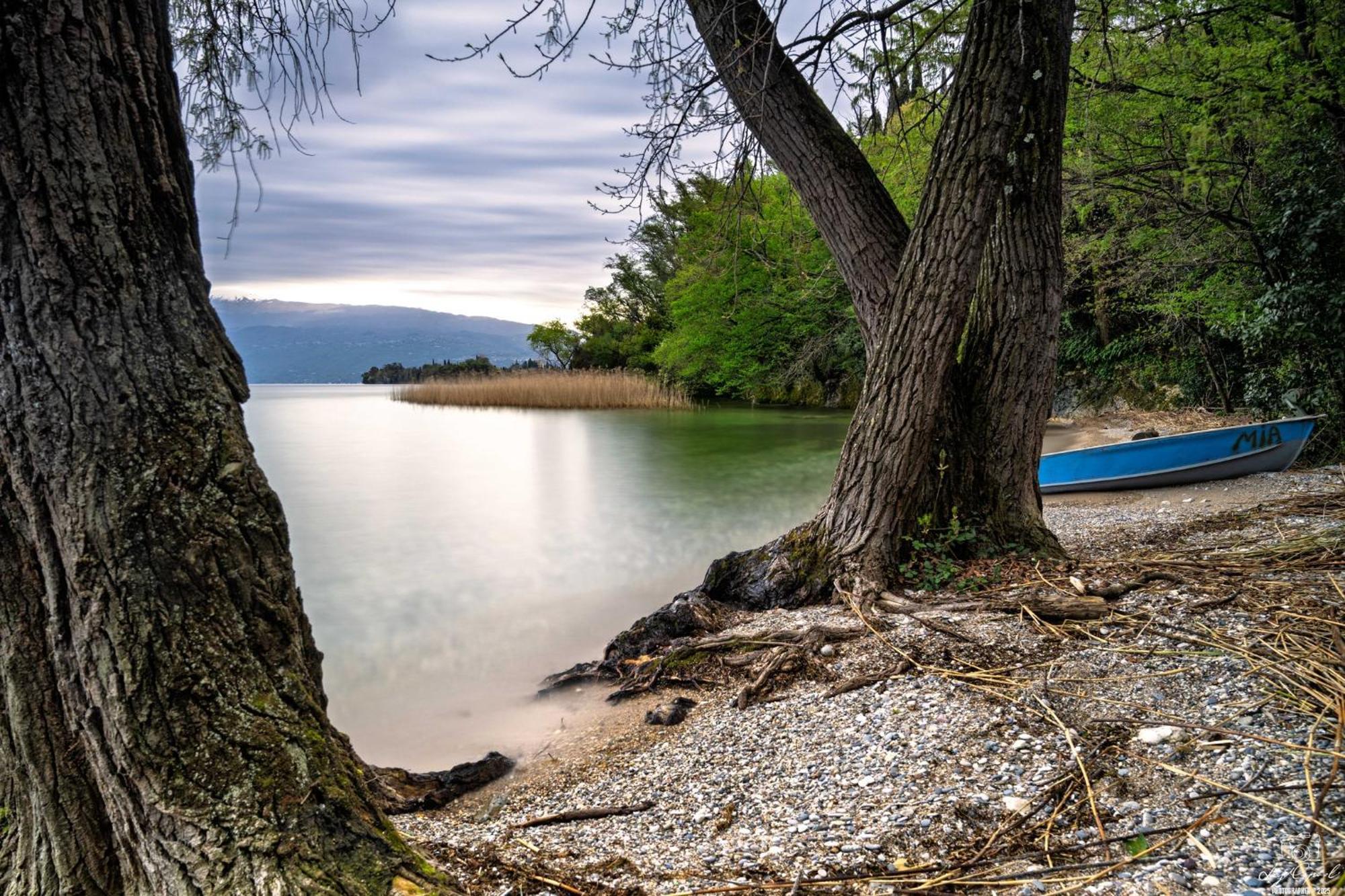 San Carlo Appartamenti Vacanze Soiano Del Lago Exterior foto